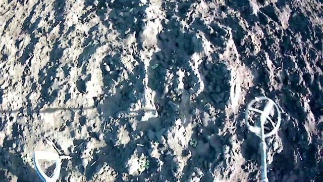 XP Deus2?Дэус2 -коп как есть?яблочный сад/поле