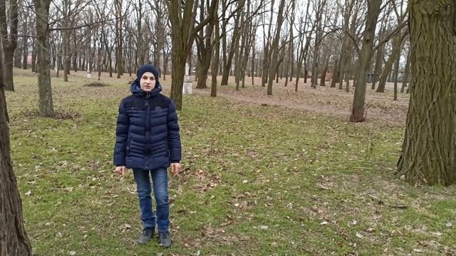 ВСЁ О БЕРЕМЕННОСТИ СОБАК:Изменения поведения беременной собаки.Как ухаживать за беременной собакой? смотреть онлайн