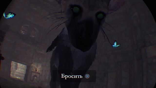 Играем в last guardian VR на PS 4 смотреть онлайн