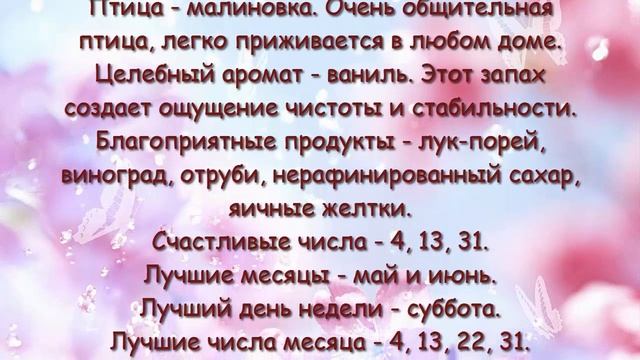 Судьба по дате рождения. 22 февраля. | Гороскопы смотреть онлайн