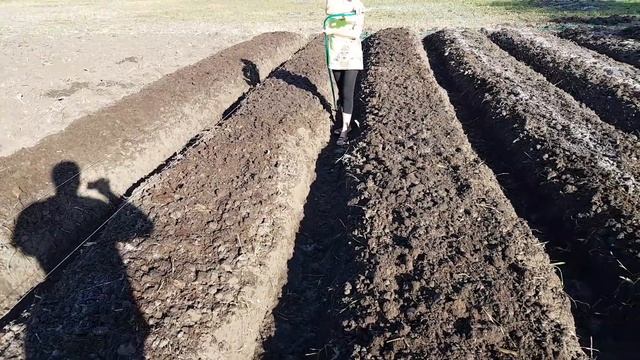 Как посадить 1000 кустов клубники за три дня смотреть онлайн