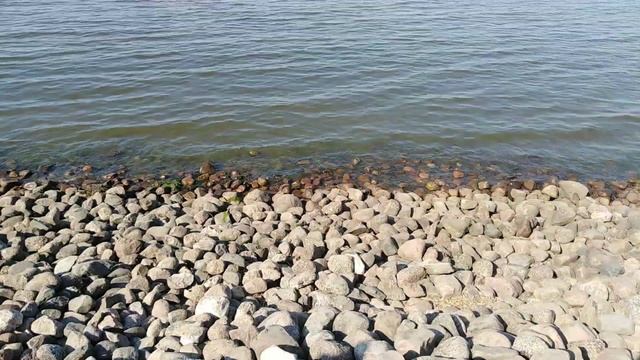 Поэзия, философия жизни. "Атлантика" #стихи #поэзия смотреть онлайн