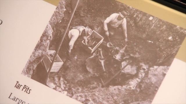 Amherst College Campus Tour смотреть онлайн