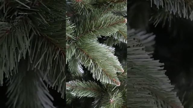 Ёлка искусственная "Императорская" от 3м до 6м высотой смотреть онлайн