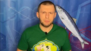 лучшие Омега 3 6 9 или Омега 369 какие лучше состав цена отличие