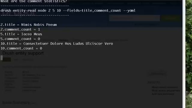Drupal Drush Entity Support смотреть онлайн