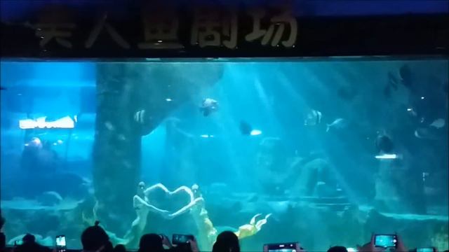 Русалки. шоу русалок. Mermaid show.