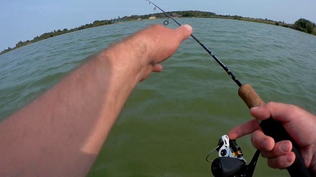 14.08. 19. Ловля окуня в отвес на твистеры и в проводку смотреть онлайн