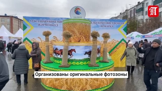 Ярмарка в Петропавловске смотреть онлайн