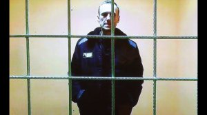 Навальный и конспирологические теории. Что произошло на самом деле?