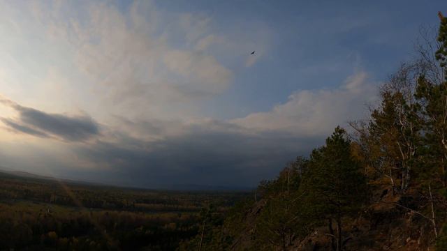 Медведь 🐻 камень 🪨🍂🍂 смотреть онлайн