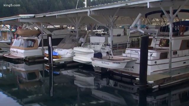 Beyond the Studio: Gig Harbor's new and improved marina смотреть онлайн