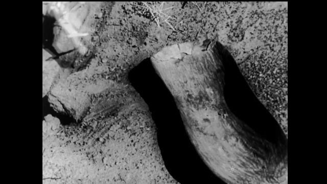 Australian Aborigines of the Desert - 1965 HD 16mm Film смотреть онлайн