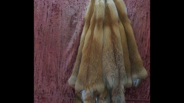 Шкуры красной лисы выделанные артикул ar-1 смотреть онлайн