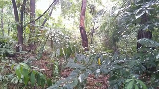 Шум дождя для сна.Релаксация. Звук дождя. Звуки природы для сна. HD video. смотреть онлайн
