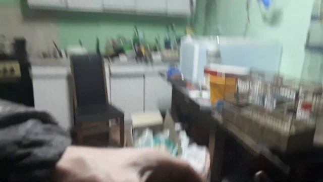 Разведение канареек! Гнезда для канареек своими руками. дёшево и просто! #канарейки смотреть онлайн