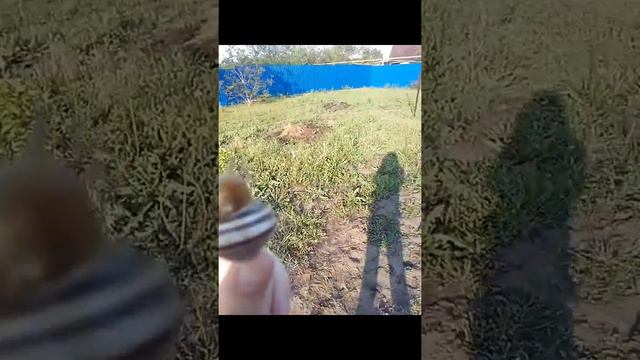Знакомство с улиткой Исик🐌что нужно сделать чтобы улитка вылезла 🌸 смотреть онлайн