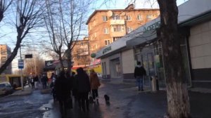 маршала рыбалко 43 окружение
