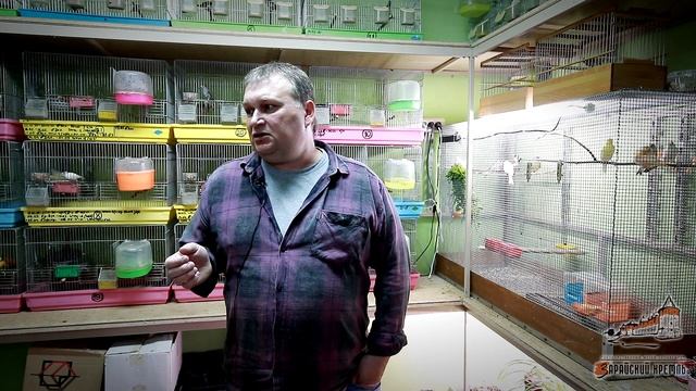 «Птичьи трели» в Даровом 2020 |Государственный музей-заповедник "Зарайский кремль"| смотреть онлайн
