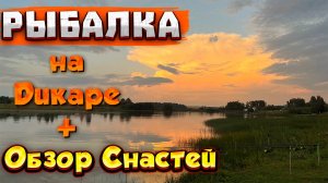 Рыбалка на дикаре Обзор снастей ZEMEX Shimano KAIDA DAM