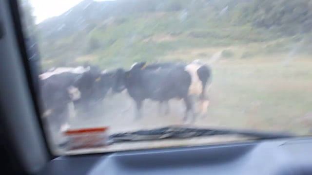 Death by Killer Cows смотреть онлайн