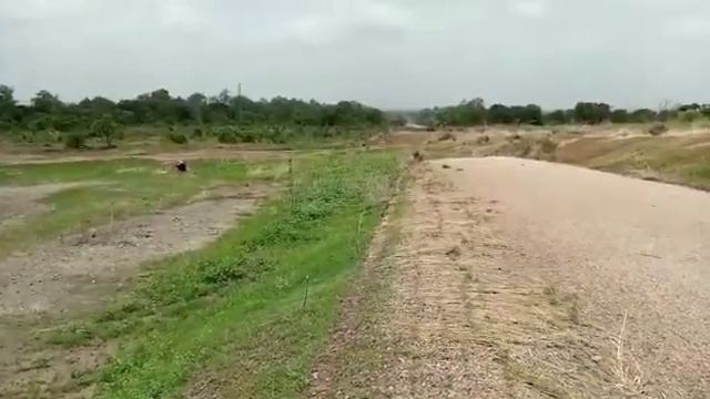 FREE LAND GRANTS FOR AFRICAN DECENDANTS IN GHANA, SAVANNA REGION. BY ROYAL INVITATION смотреть онлайн