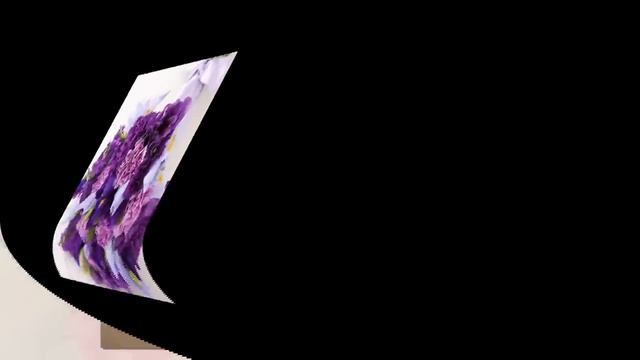 Ненси -Алая гвоздика