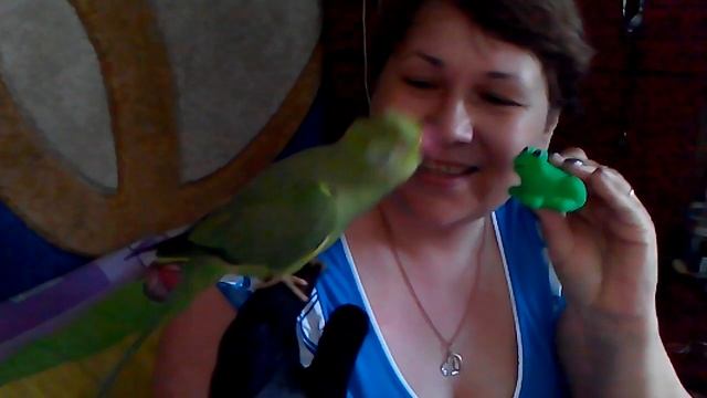 Попугай или кукушка? смотреть онлайн