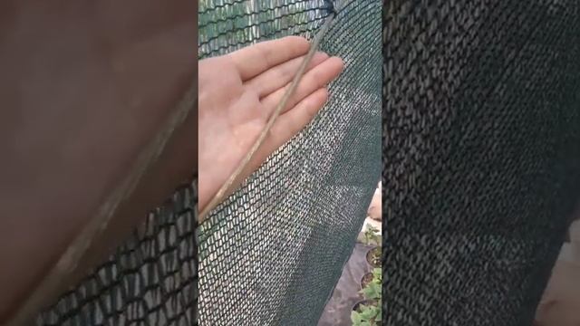 Сетка для притенения растений.