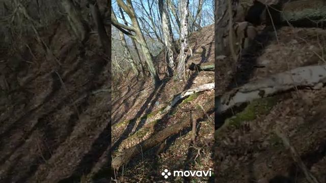 Светлогорск неизведанный или русский человек в дебрях Пруссии. Смотреть всем. смотреть онлайн