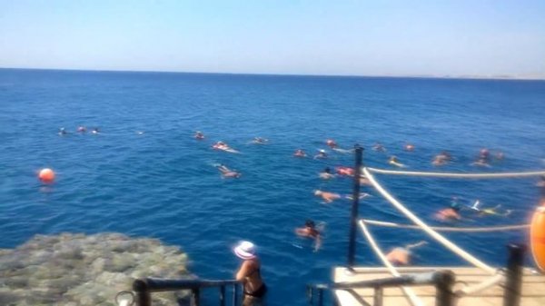 Reef Oasis Blue Bay. ПЛЯЖ Шарм-эль-Шейх