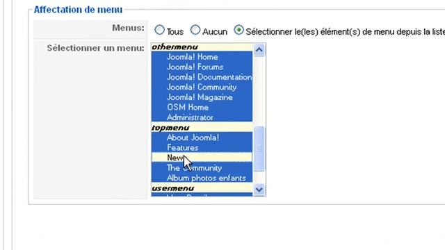 Créer et Gérer les Modules dans Joomla! 1.5.x смотреть онлайн