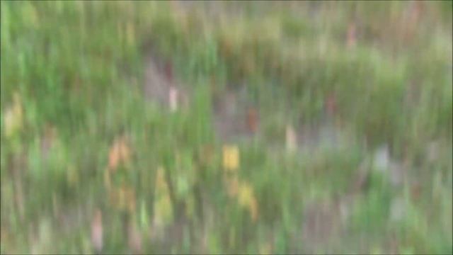 Проклятие деревни Брагино смотреть онлайн