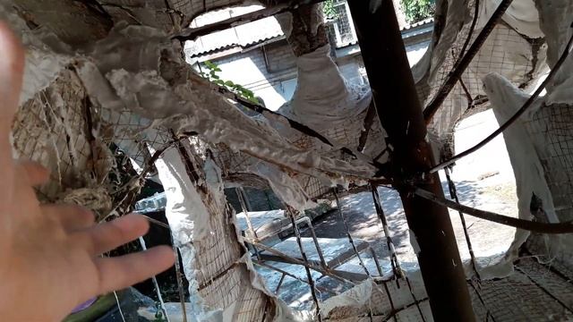 Skull делаем Скульптуру Череп 2 Метра по Высоте. Каркас из Металла. смотреть онлайн