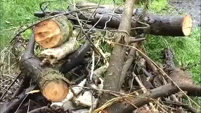 Во всемирный день очистки водоемов десятки димитровградцев пришли на берег Маркова пруда смотреть онлайн
