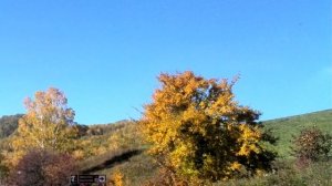 Божественное исцеление от поликистоза почек 2 часть Сытин Г.Н.