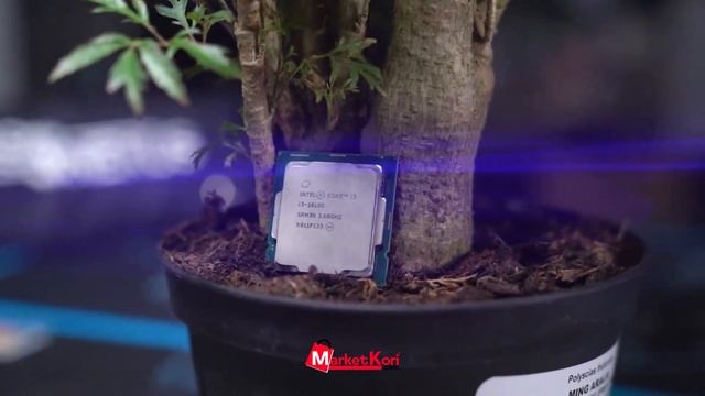 New Intel 10th Generation Processor - i3/i5/i7 | Available On Market Kori смотреть онлайн