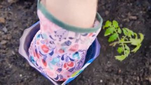 Органик Микс   совет дня органический укоренитель удобрение для пересадки  и рассады