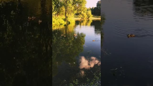 БУНИНСКАЯ АЛЛЕЯ//BUNINSKAYA ALLEYA смотреть онлайн