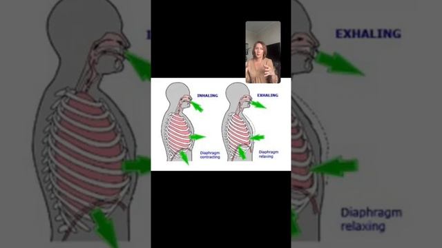 Как работа диафрагмы влияет на отеки смотреть онлайн