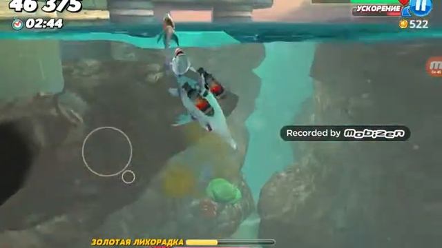 Hangry shark прохождение игры арабское море акула домовой смотреть онлайн