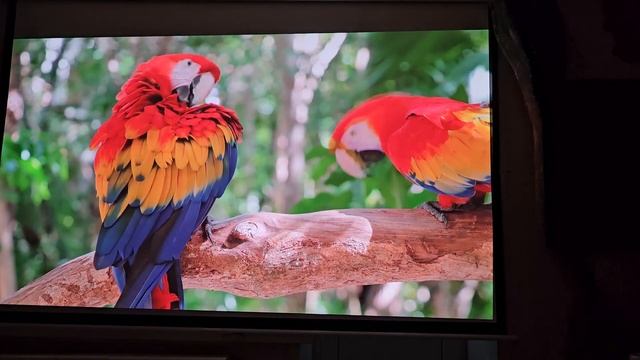 ОБЗОР ПРОЕКТОР BenQ W2700I 2023 (4K HDR ) против проектора EPSON EH-TW7000/7100. DLP ПРОТИВ 3LCD