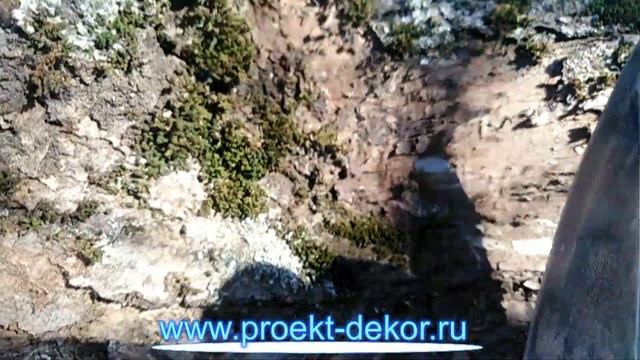 Уход за корой дерева смотреть онлайн