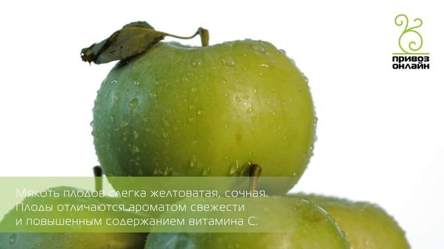 Яблоко зеленое (Апорт) смотреть онлайн