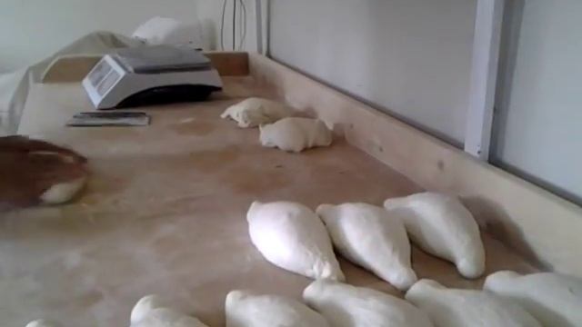 GEV SOTI PURI 1 смотреть онлайн