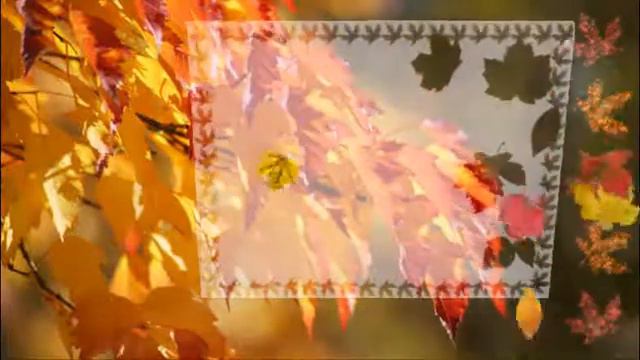 Коллекция Натальи Шихалёвой смотреть онлайн