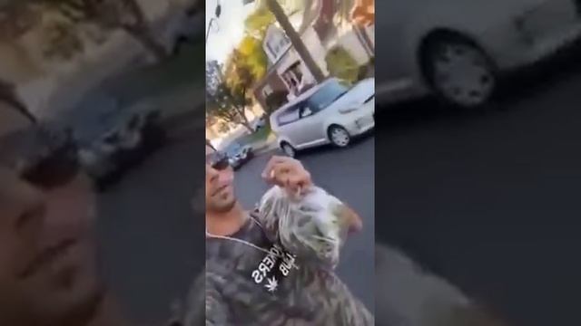 Видео,приколы,юмор,смех смотреть онлайн