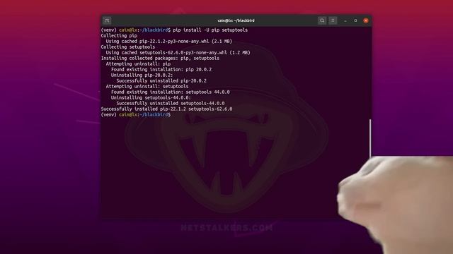 OSINT Python | Как найти человека в интернете? | Поиск по социальным сетям смотреть онлайн