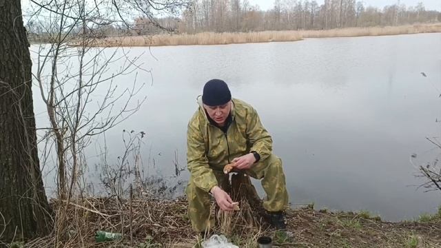 р.Плиса. смотреть онлайн