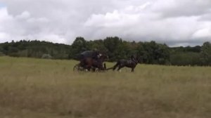 Cover на песню "Любимый мой"